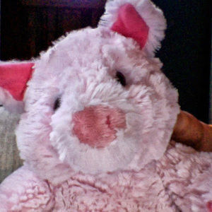 Meet your Posher, Jo